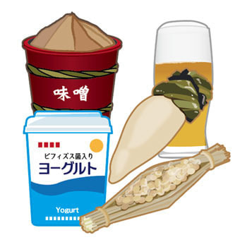 発酵食品